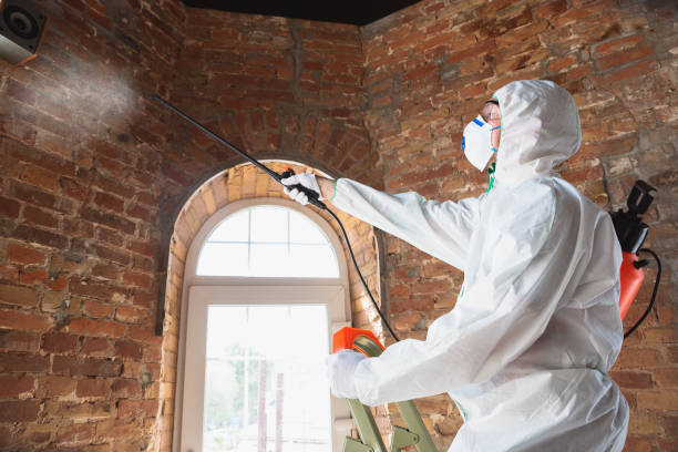 Best Comprehensive Air Testing for Mold Contaminants in Barrington, NJ